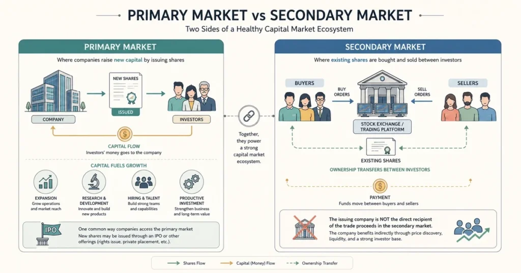 Flat vector infographic comparing primary stock markets where newly issued securities raise capital for companies with secondary markets where investors trade existing shares.